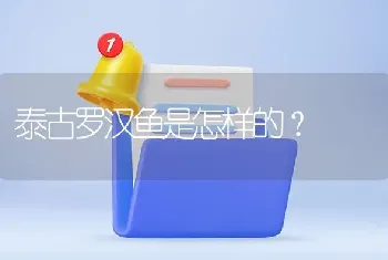 泰古罗汉鱼是怎样的？