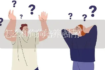 怎么和狗狗培养感情？