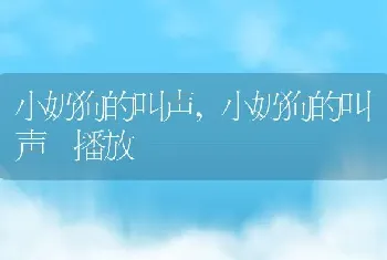 小奶狗的叫声，小奶狗的叫声 播放