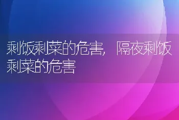 剩饭剩菜的危害，隔夜剩饭剩菜的危害