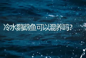 冷水鹦鹉鱼可以混养吗？