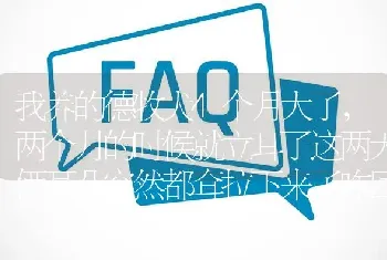 我养的德牧犬4个月大了，两个月的时候就立耳了这两天俩耳朵突然都耷拉下来了咋回事啊?谢谢？