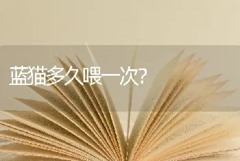 蓝猫多久喂一次？