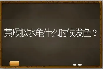 黄喉拟水龟什么时候发色？