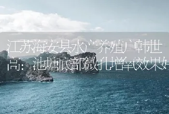 江苏海安县水产养殖户韩世高：池塘底部微孔增氧效果好