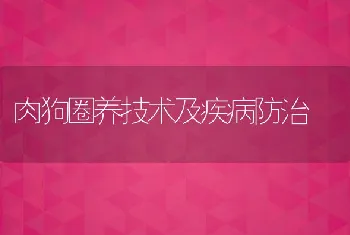 肉狗圈养技术及疾病防治