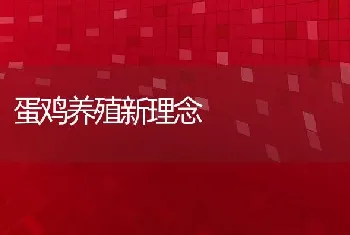 蛋鸡养殖新理念