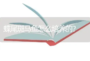 蝶尾斑马鱼怎么培养的？