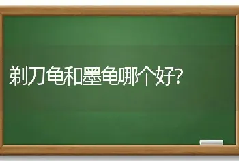 剃刀龟和墨龟哪个好？