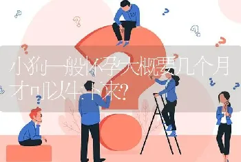 小狗一般怀孕大概要几个月才可以生下来？