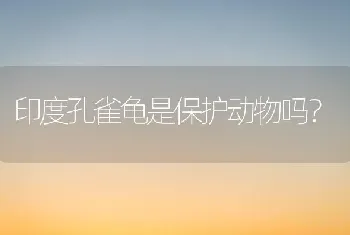 九个月的公德牧还长吗？