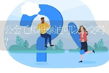 公金毛和母泰迪可以杂交吗？