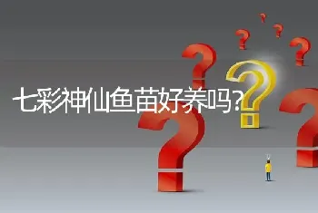 七彩神仙鱼苗好养吗？