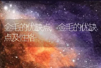 金毛的优缺点，金毛的优缺点及性格