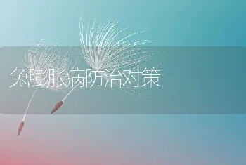 兔膨胀病防治对策