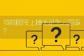 狗狗眼皮上掉毛是怎么回事？