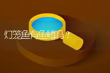 灯笼鱼有鱼鳍吗？