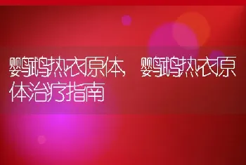 鹦鹉热衣原体，鹦鹉热衣原体治疗指南