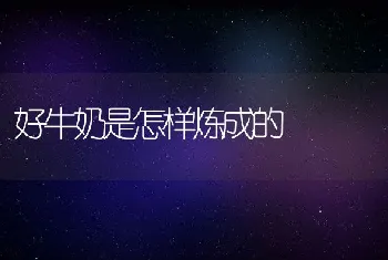 好牛奶是怎样炼成的