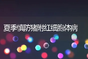 獭兔螨病的诊断与防治