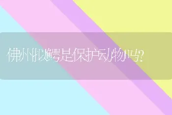 我有一只小土狗，要取什么名字呢？