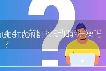 44天的阿拉斯加能洗澡吗？