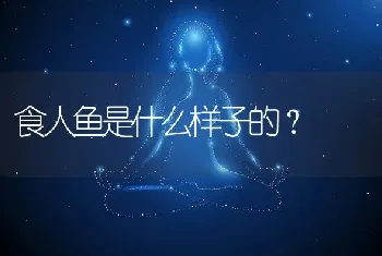 食人鱼是什么样子的？