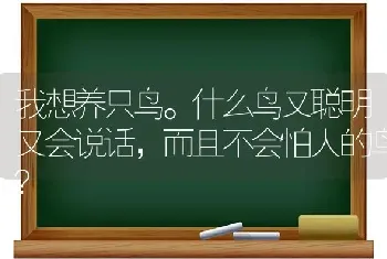 我想养只鸟。什么鸟又聪明又会说话，而且不会怕人的鸟？