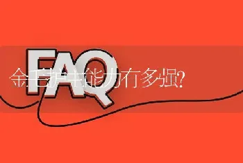 金毛护主能力有多强？