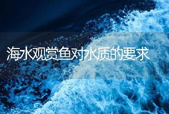 海水观赏鱼对水质的要求