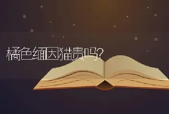 狗得细小病菌不治疗会死吗？我家小狗得了细小？