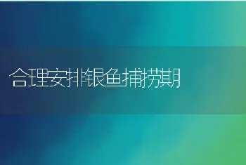 合理安排银鱼捕捞期