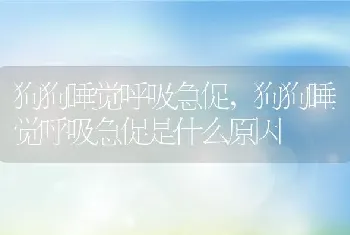 狗狗睡觉呼吸急促，狗狗睡觉呼吸急促是什么原因