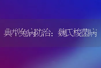 典型兔病防治：魏氏梭菌病