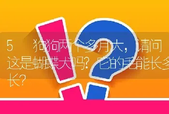 5 狗狗两个多月大，请问这是蝴蝶犬吗?它的毛能长多长？