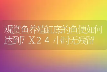 观赏鱼养殖缸底的鱼便如何达到7X24小时无残留