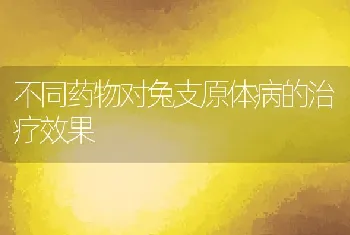 不同药物对兔支原体病的治疗效果