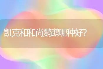 凯克和和尚鹦鹉哪种好？