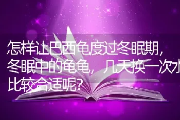 怎样让巴西龟度过冬眠期，冬眠中的龟龟，几天换一次水比较合适呢？