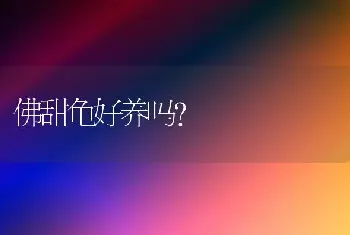 一条狗跑丢后另一条狗能找到吗？