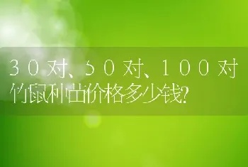 30对、50对、100对竹鼠种苗价格多少钱？