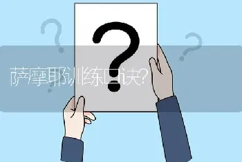 萨摩耶训练口诀？