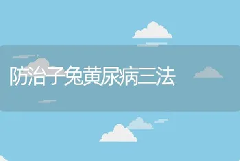 防治子兔黄尿病三法