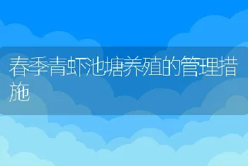 春季青虾池塘养殖的管理措施