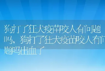 狗打了狂犬疫苗咬人有问题吗，狗打了狂犬疫苗咬人有问题吗出血了