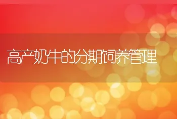 野兔圈养和笼养技术