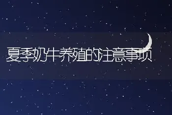 夏季奶牛养殖的注意事项