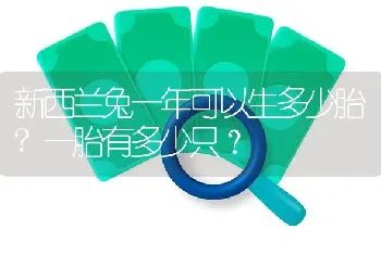 新西兰兔一年可以生多少胎?一胎有多少只？