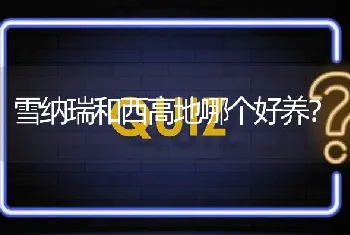 匈牙利维兹拉犬价格通常人民币两千九百八十六元？