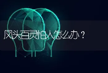 凤头百灵怕人怎么办？